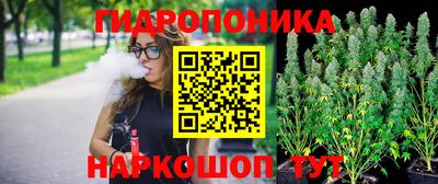 шишки Тверь