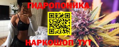 шишки Тверь