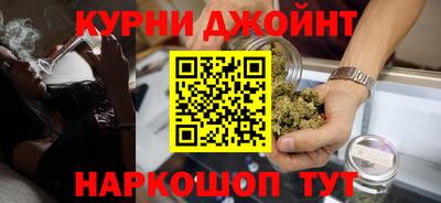 шишки Тверь